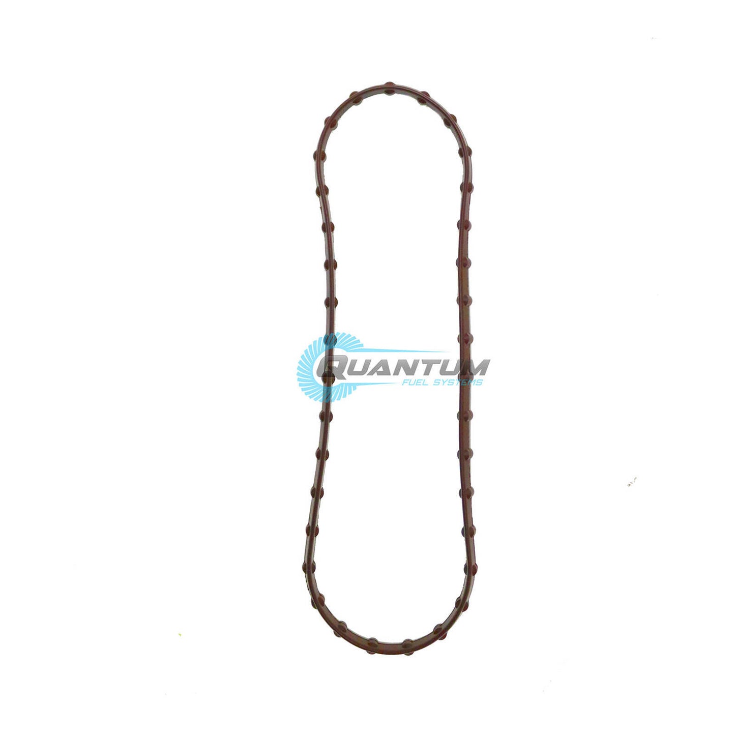 Quantum Harley Davidson Fuel Pump Tank Seal Gasket