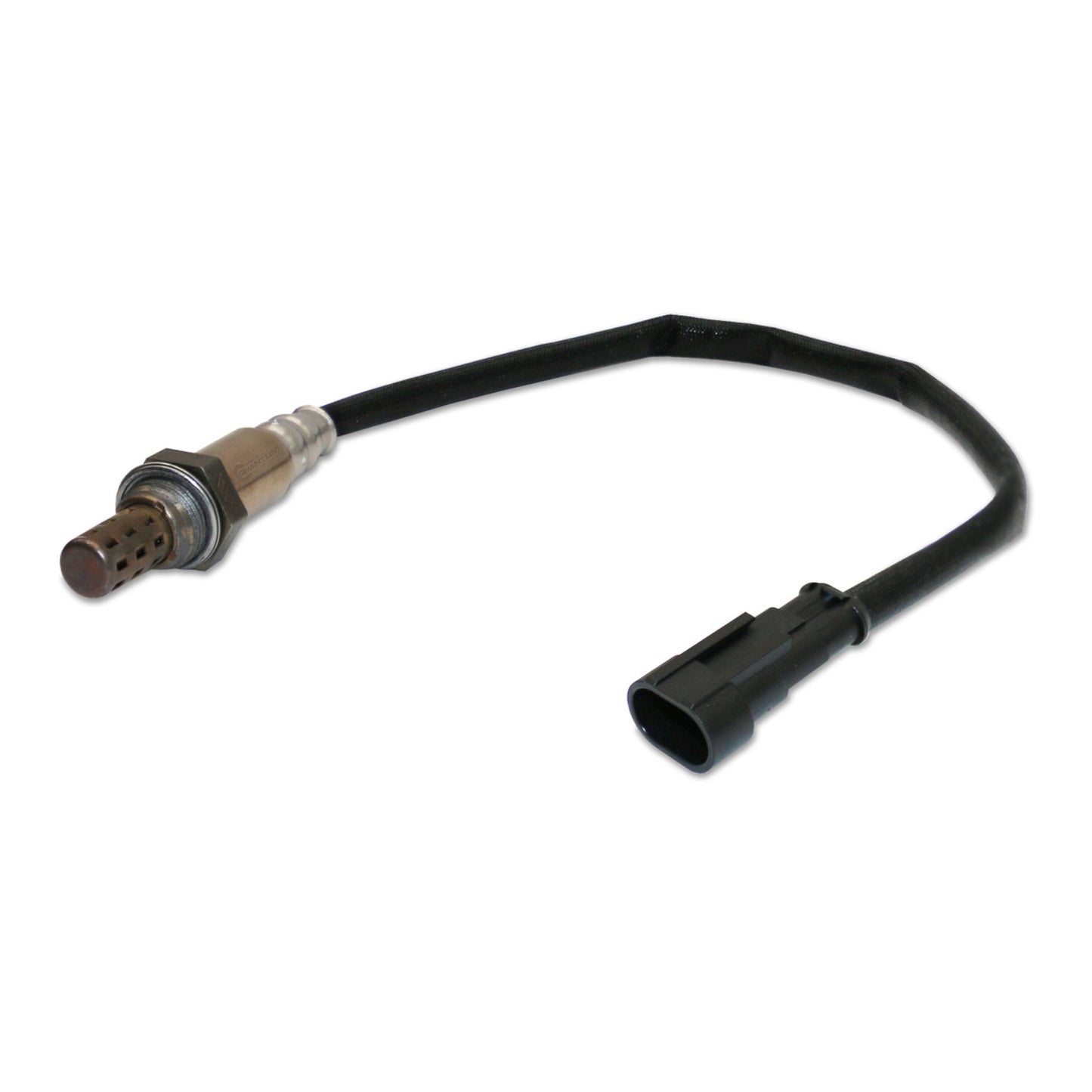 Harley Davidson O2 Sensor - Quantum O2 Sensor