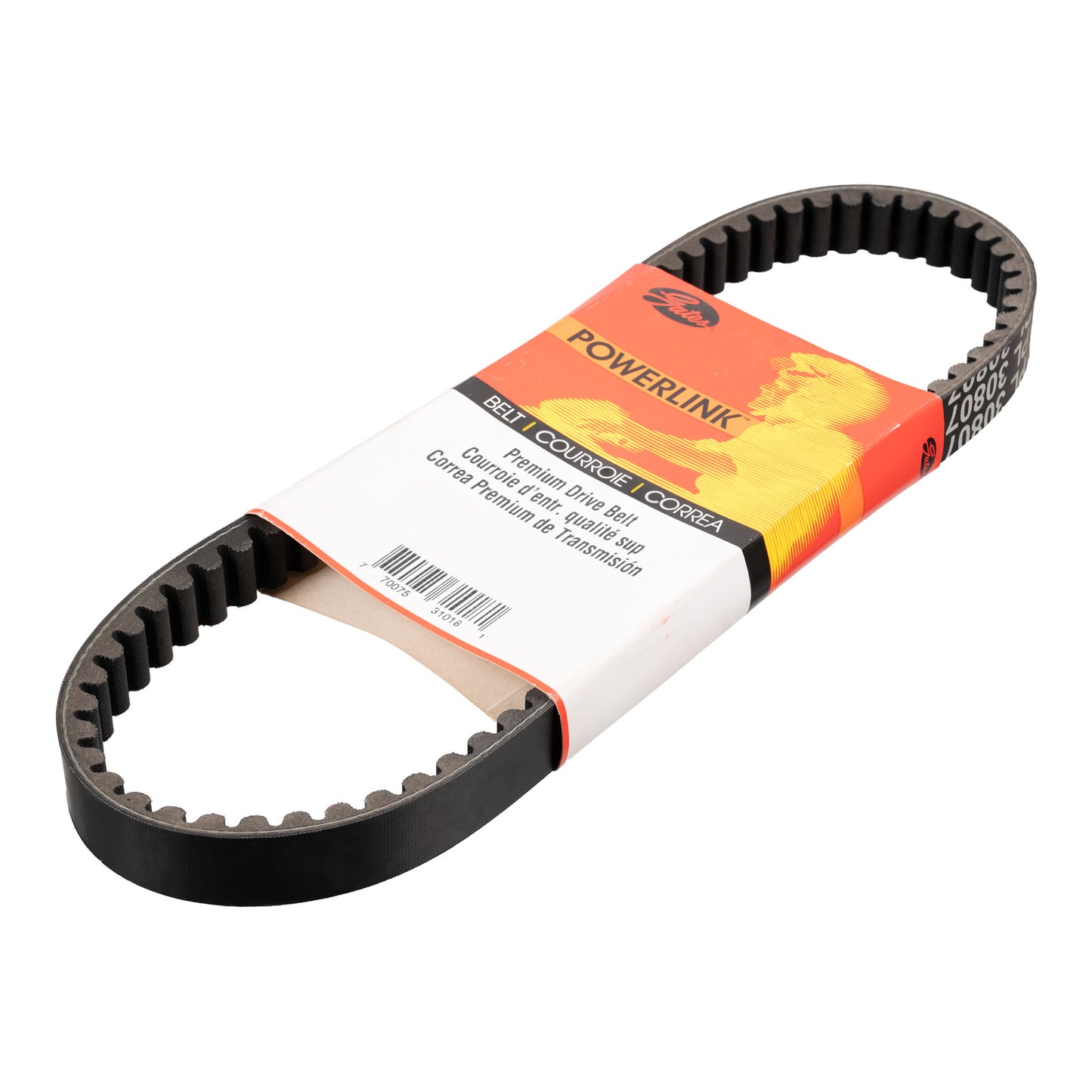 DAYCO SCOOTER DRIVE BELT 759-21.8-30