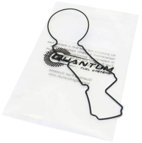 Quantum Fuel Pump Tank Seal Gasket