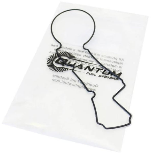 Quantum Fuel Pump Tank Seal Gasket