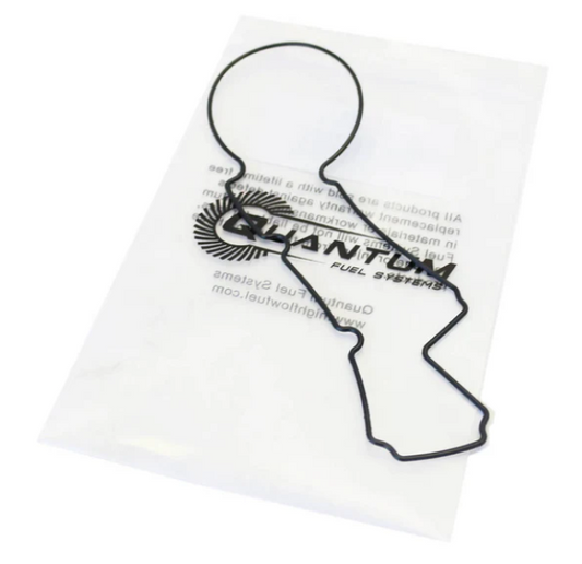 Quantum Fuel Pump Tank Seal Gasket
