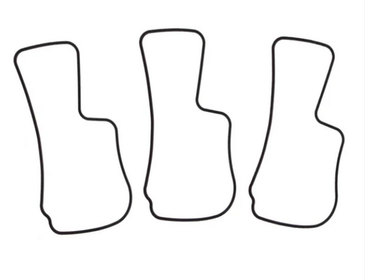 Quantum Fuel Pump Tank Seal Gasket