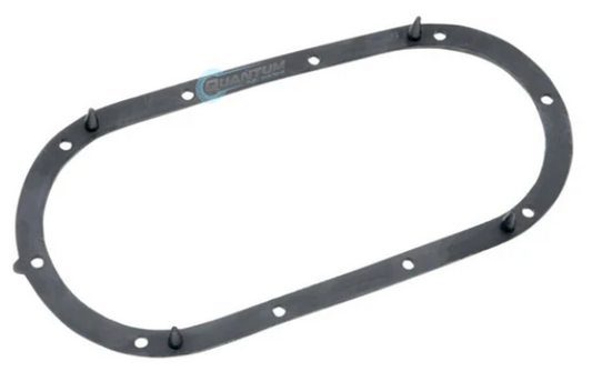 QUANTUM FUEL PUMP TANK SEAL GASKET