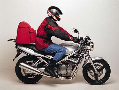Suzuki GSF 250 V X Bandit Accessories