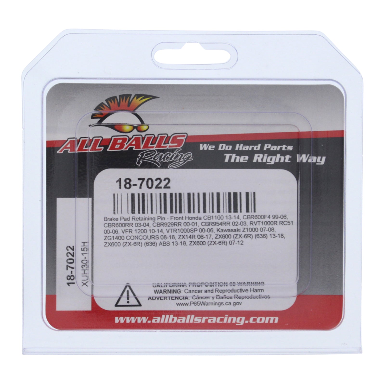 All Balls Racing Brake Pin Kit (18-7022)