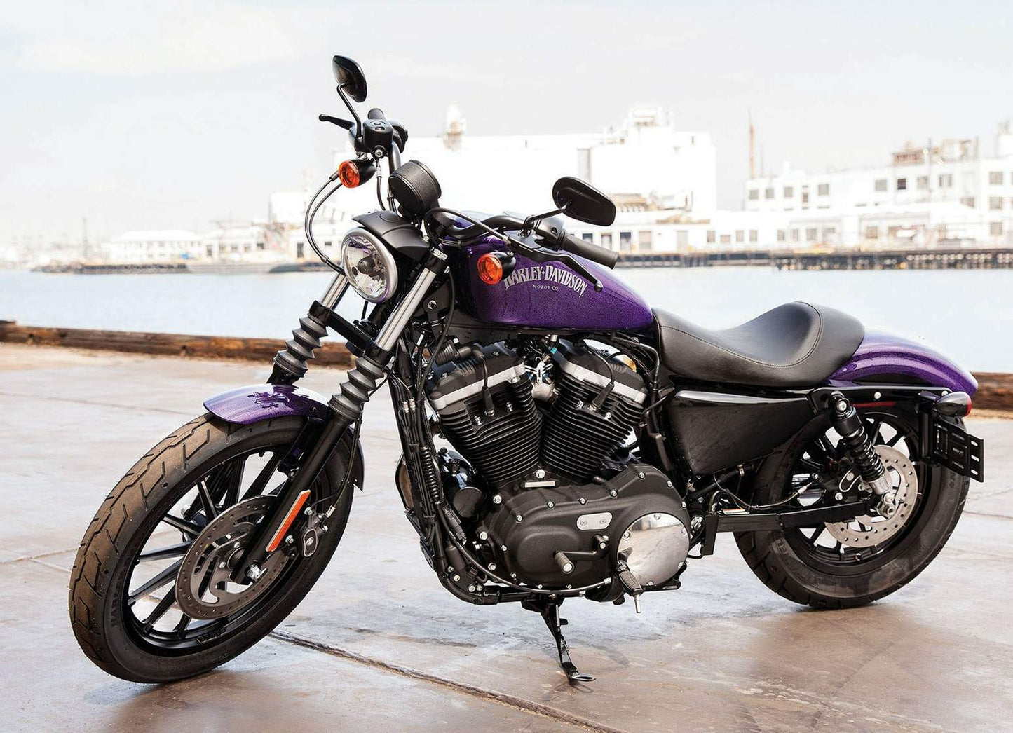 Harley Davidson XL 883 Sportster Iron (04-18) Accessories