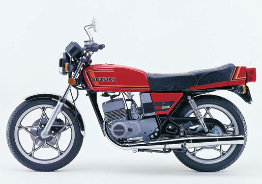 Suzuki RG 250 WD Accessories
