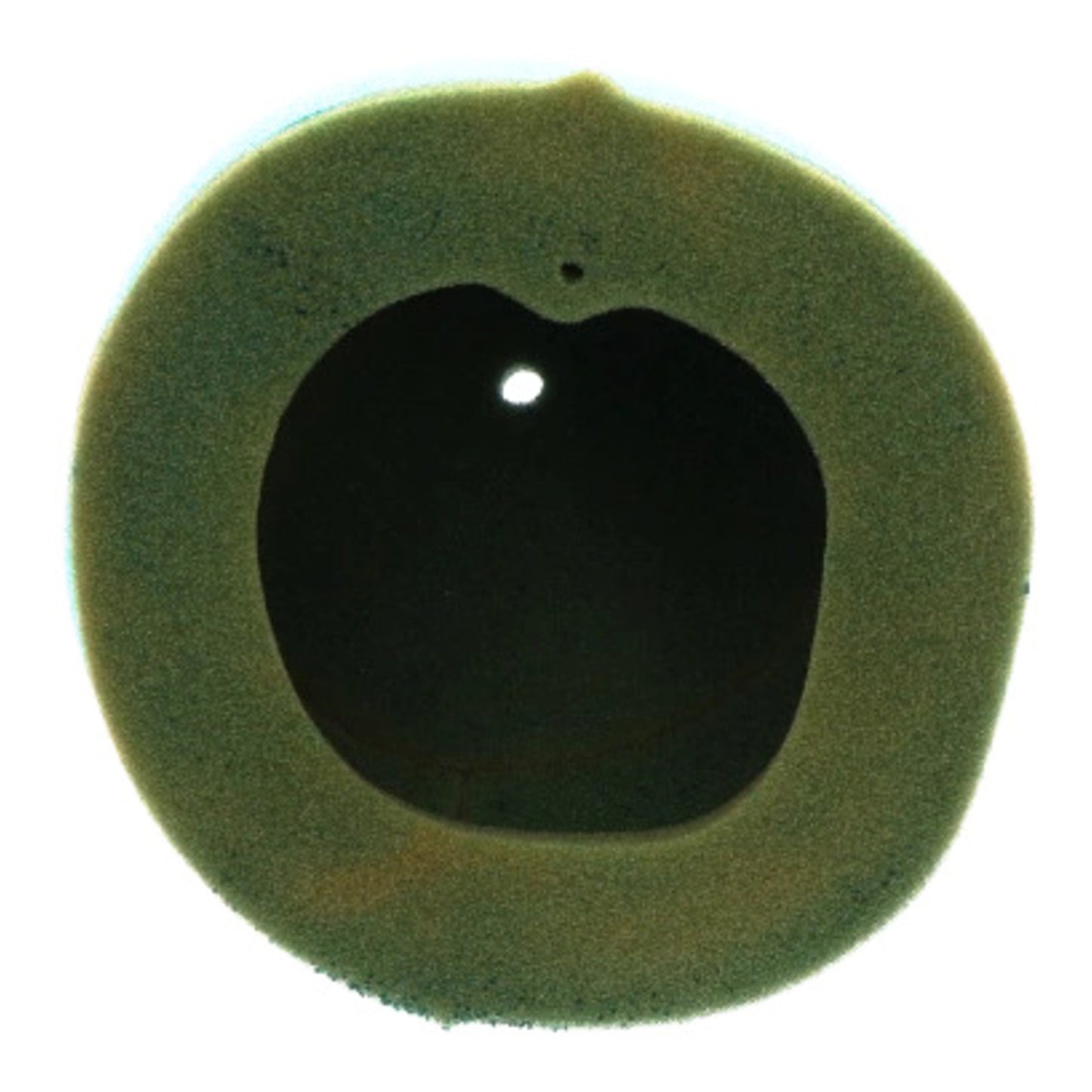 Twin Air Pre-Oiled Air Filter Yamaha YZ125/250 YZF / WRF250F