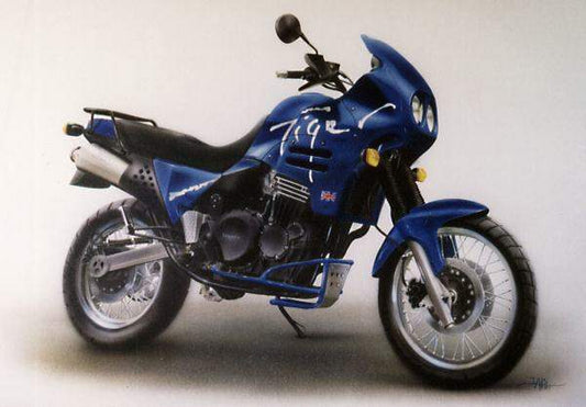 Triumph Tiger 900 P,R,S,T,V,W (93-98) Accessories